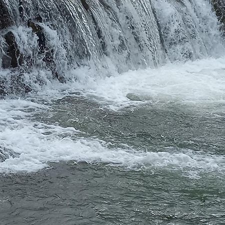 Domki Nad Stebnikiem Устшики Долне Екстериор снимка
